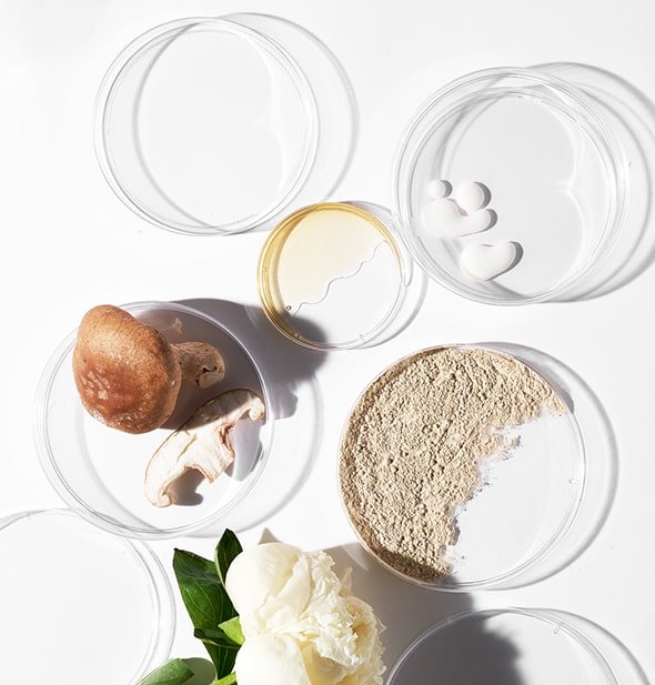 Dermalogica®powerbright dark spot serum 30ml