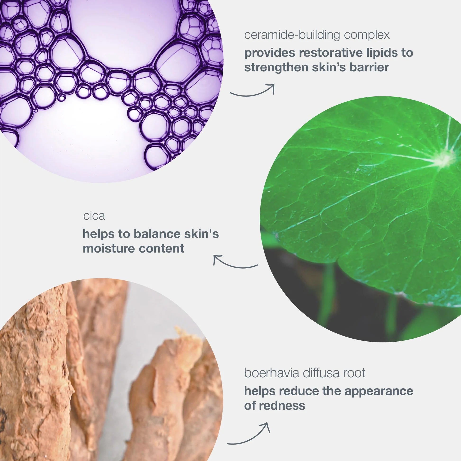 Dermalogica®stabilizing repair cream 50 ml